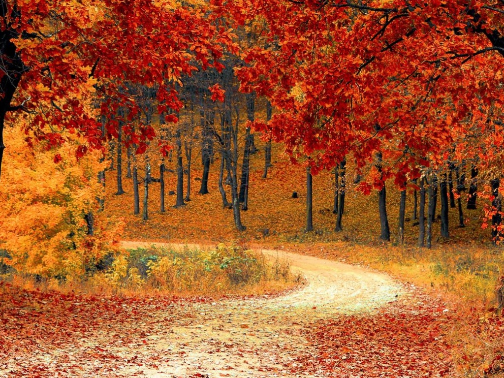 Things you should do in autumn