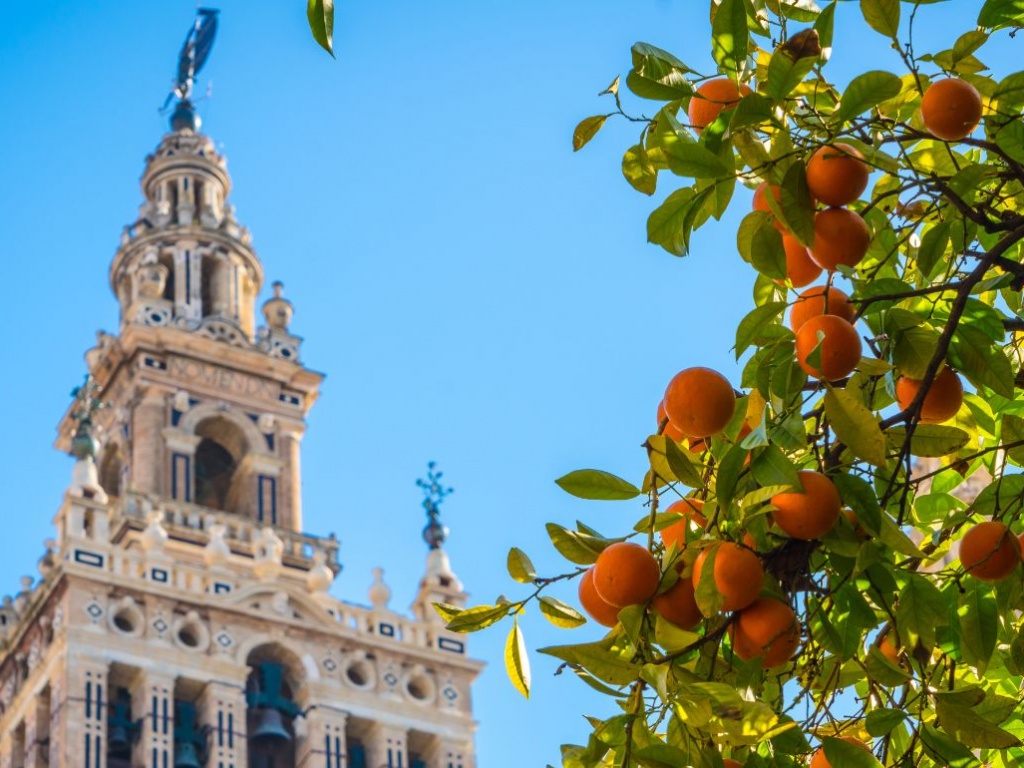 What to do a weekend in Seville